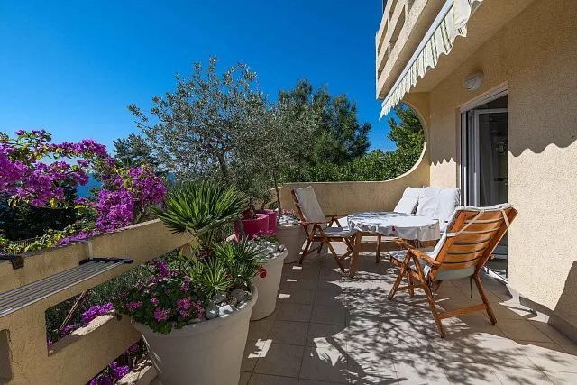 Villa with 3 Separate Apartments – Ideal Investment Opportunity for a Mini-Hotel — photo 19